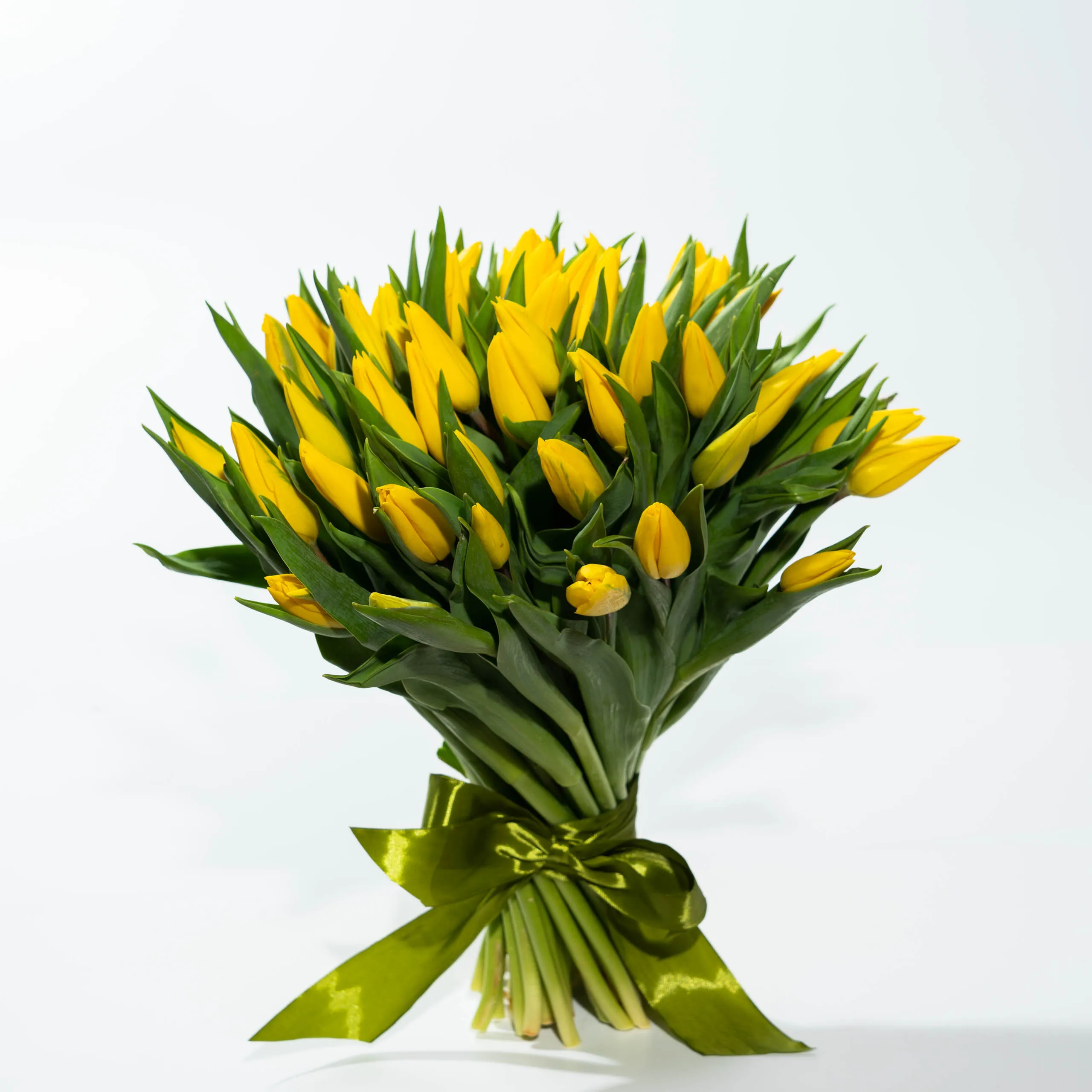 Фото 51 желтый тюльпан