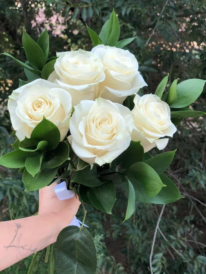Фото 5 белых роз с рускусом