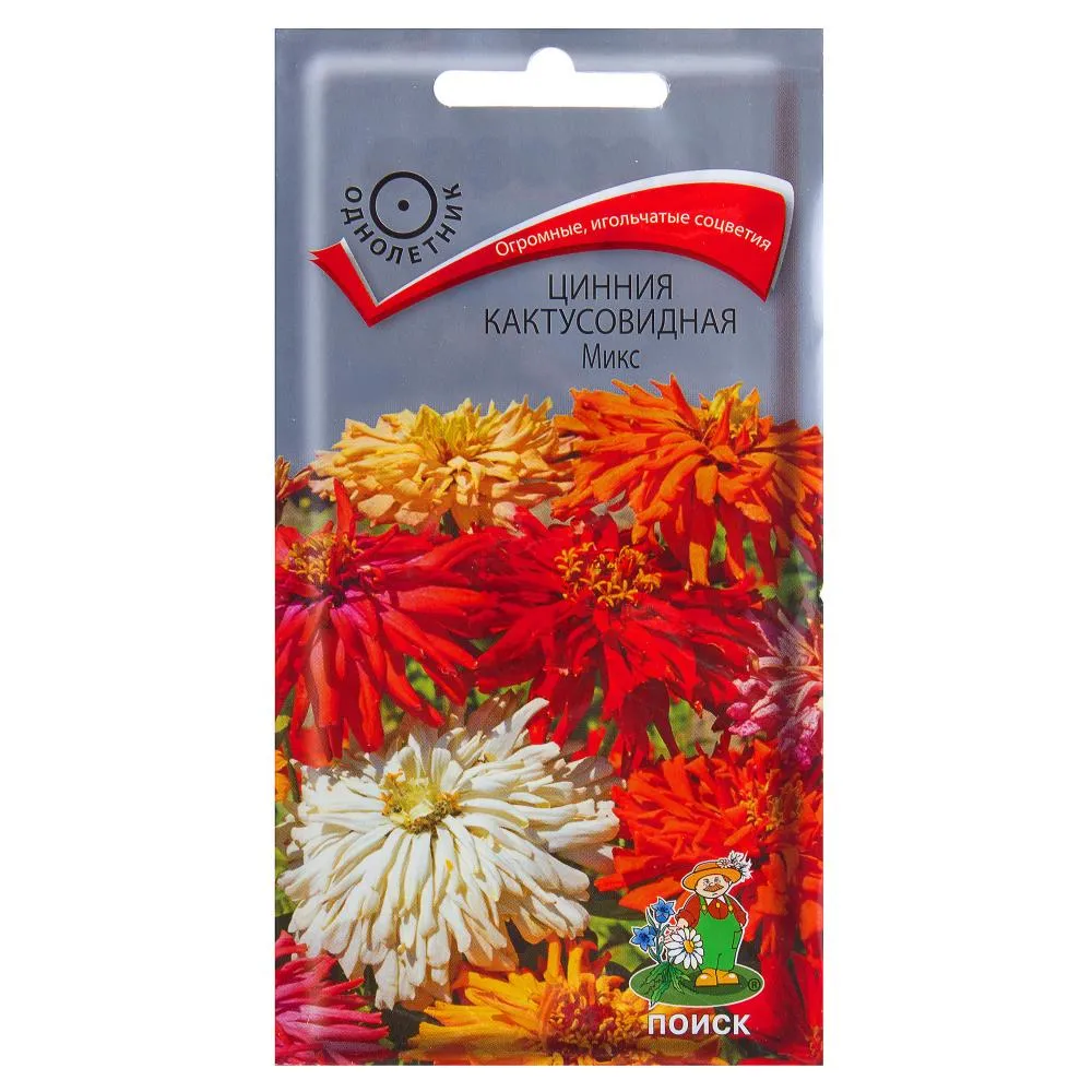 Фото Семена цветов Цинния кактусовидная микс смесь окрасок Поиск