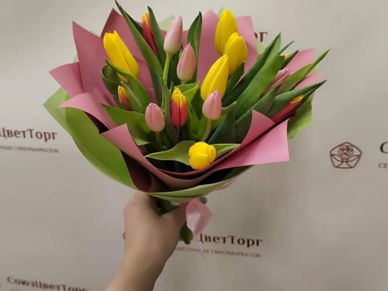 Фото Букет 15 тюльпанов микс в радужной упаковке