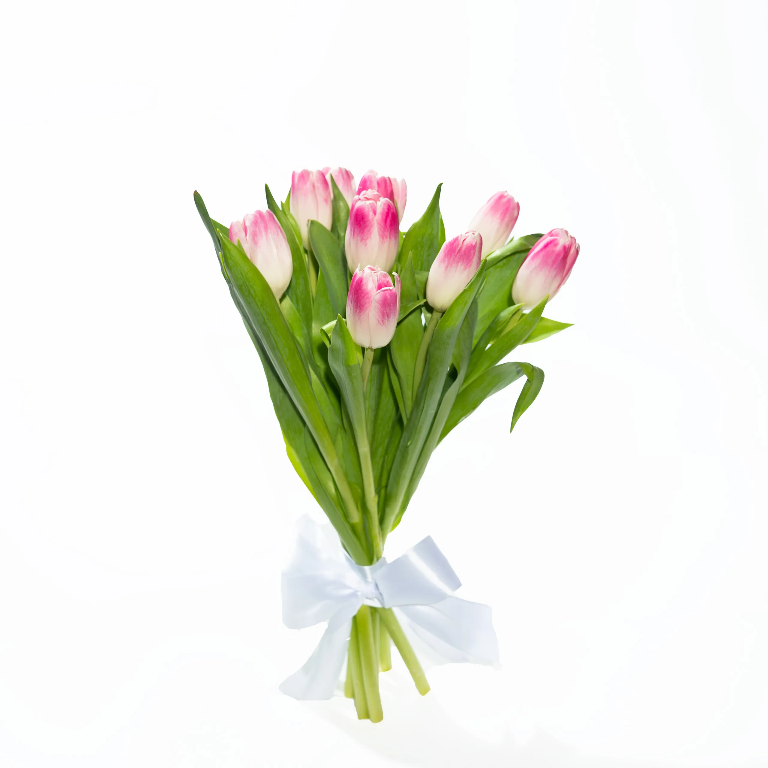 Фото 9 розовых тюльпанов под ленту шелк