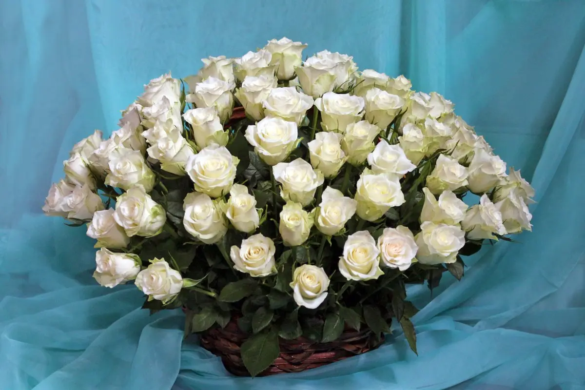 Фото Корзина из 101 белой розы