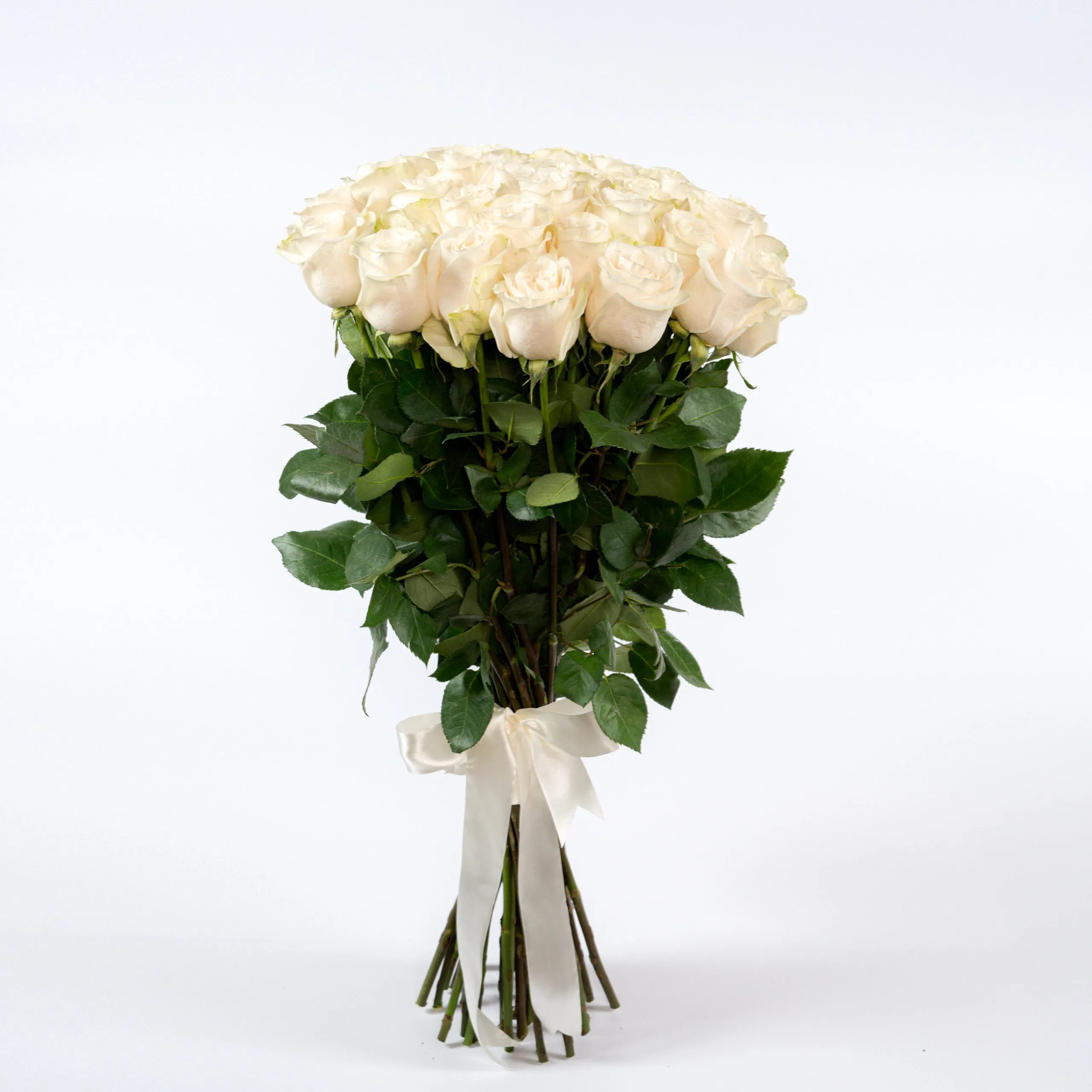 Фото 25 белых роз эквадор