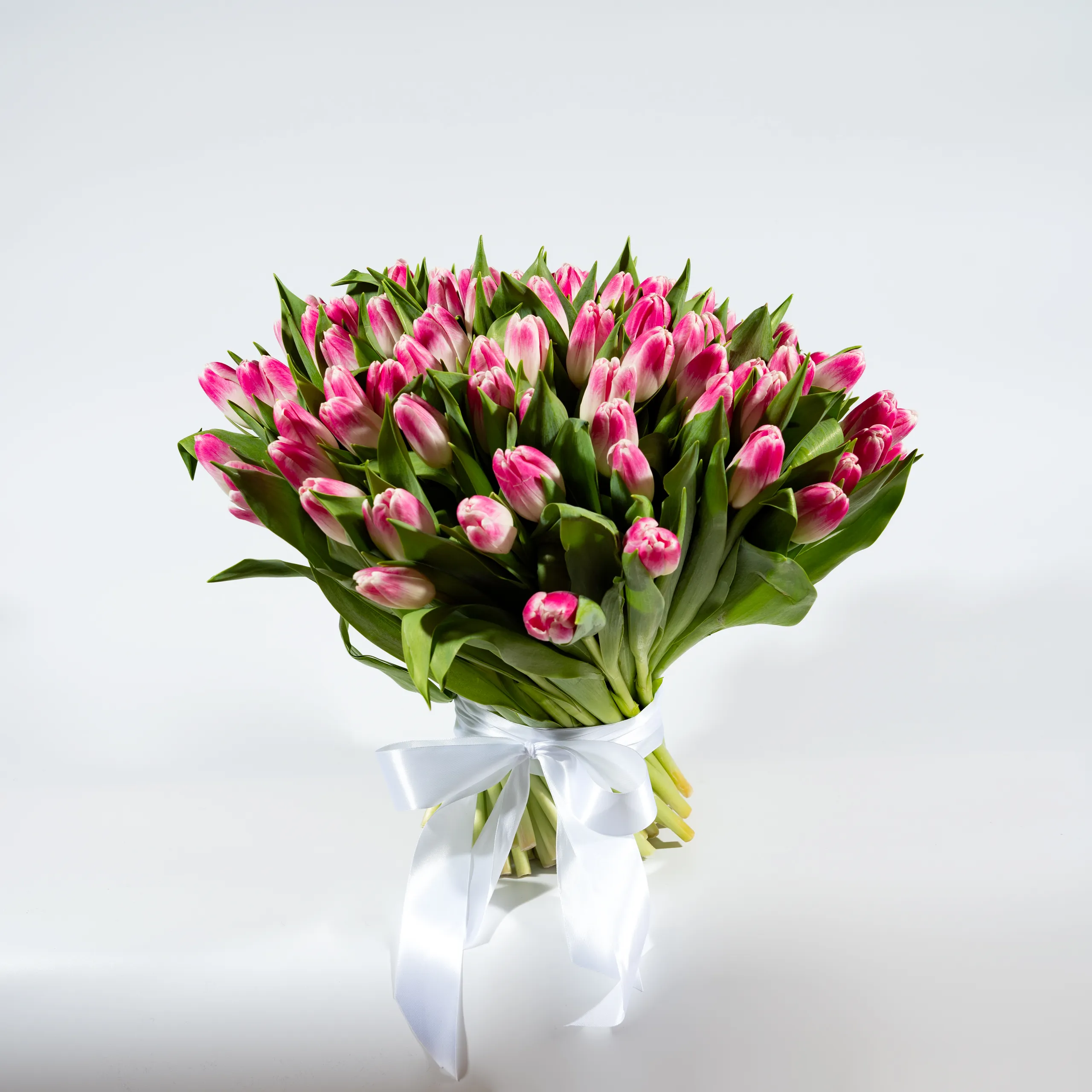 Фото 101 розовый тюльпан