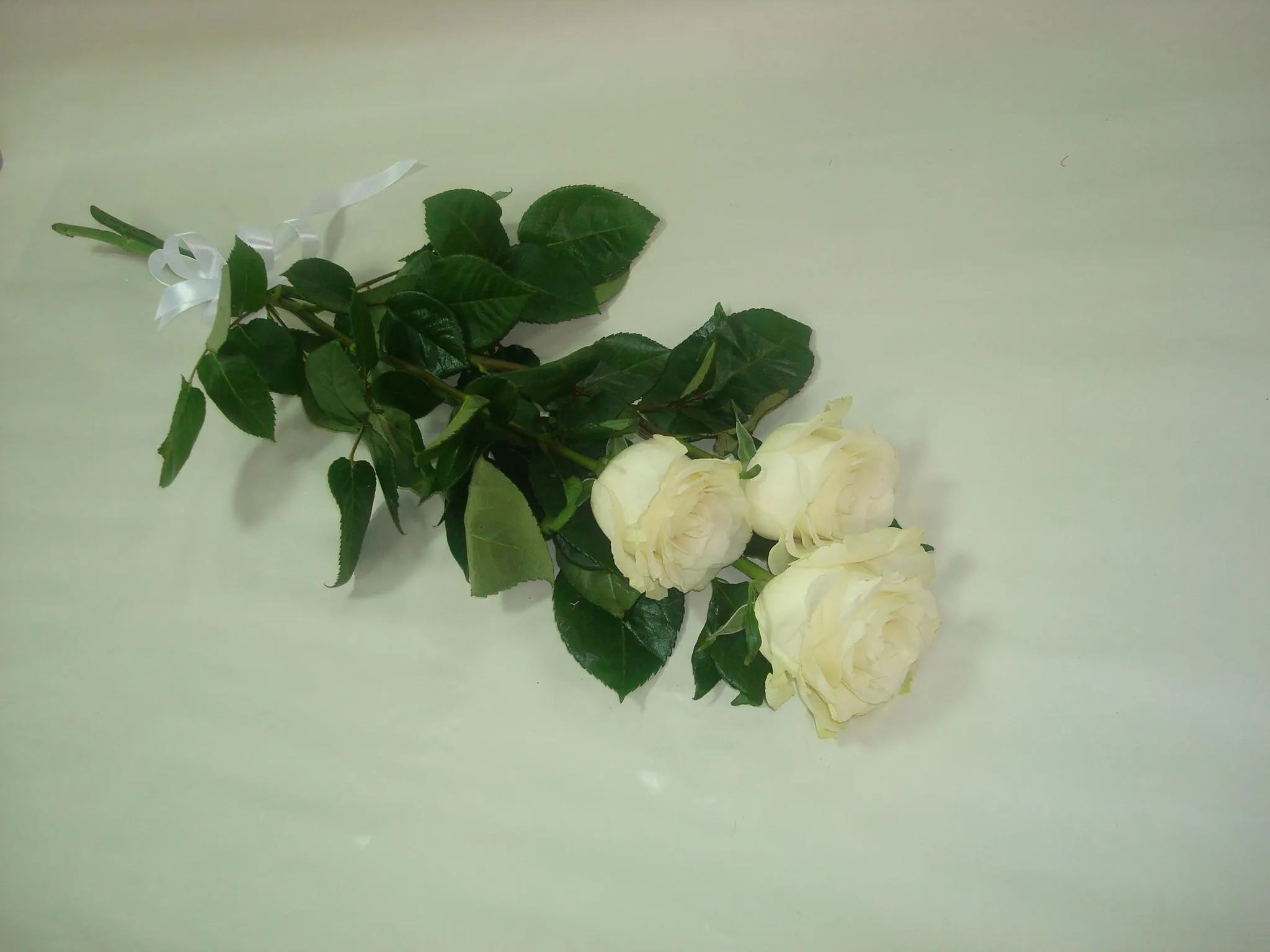 Фото 3 розы