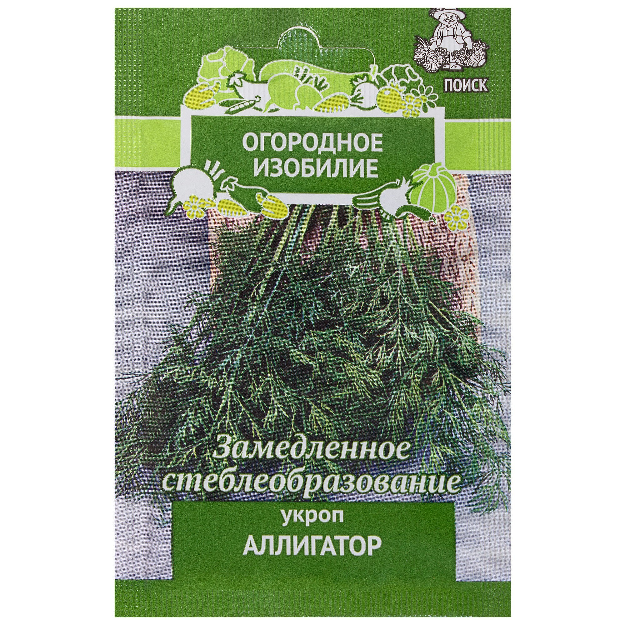 Укроп Аллигатор Характеристика Фото