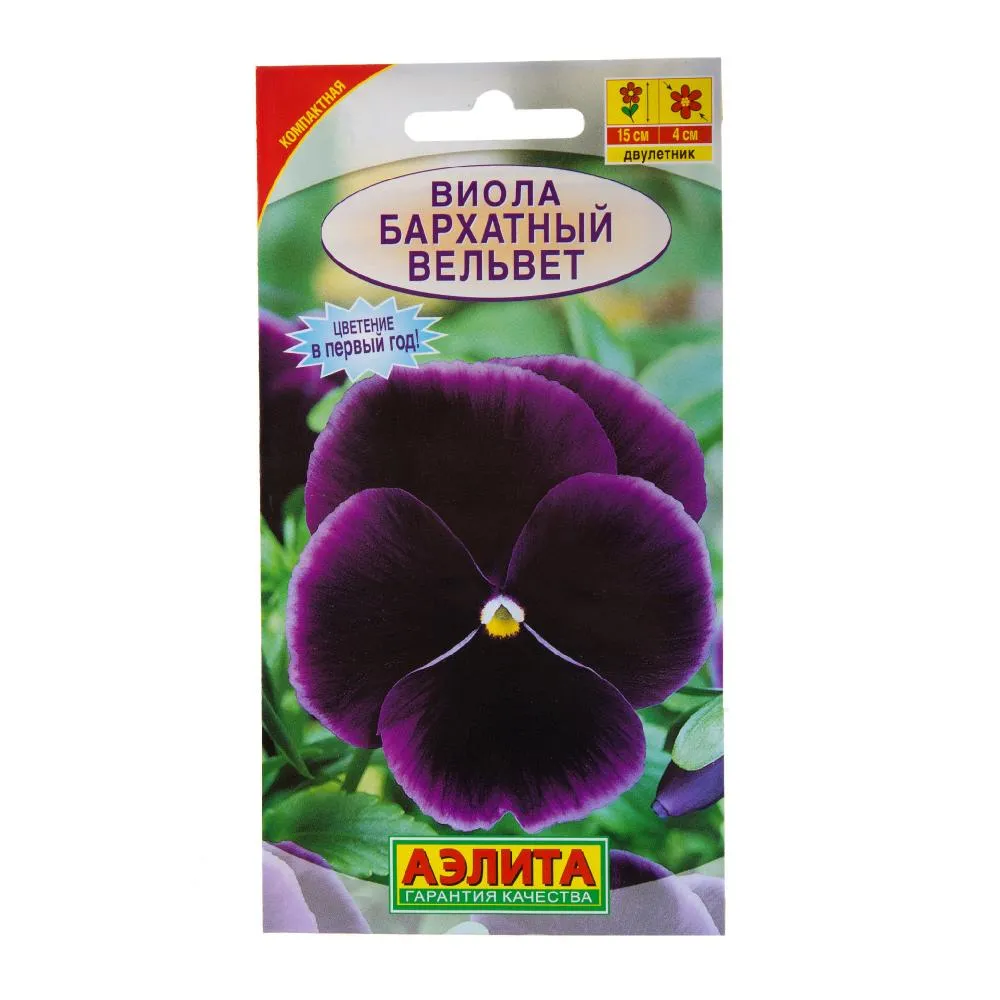 Фото Семена цветов Виола "Бархатный вельвет фиолетовая Аэлита
