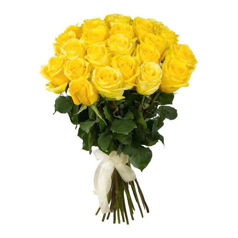 Фото 25 желтых роз