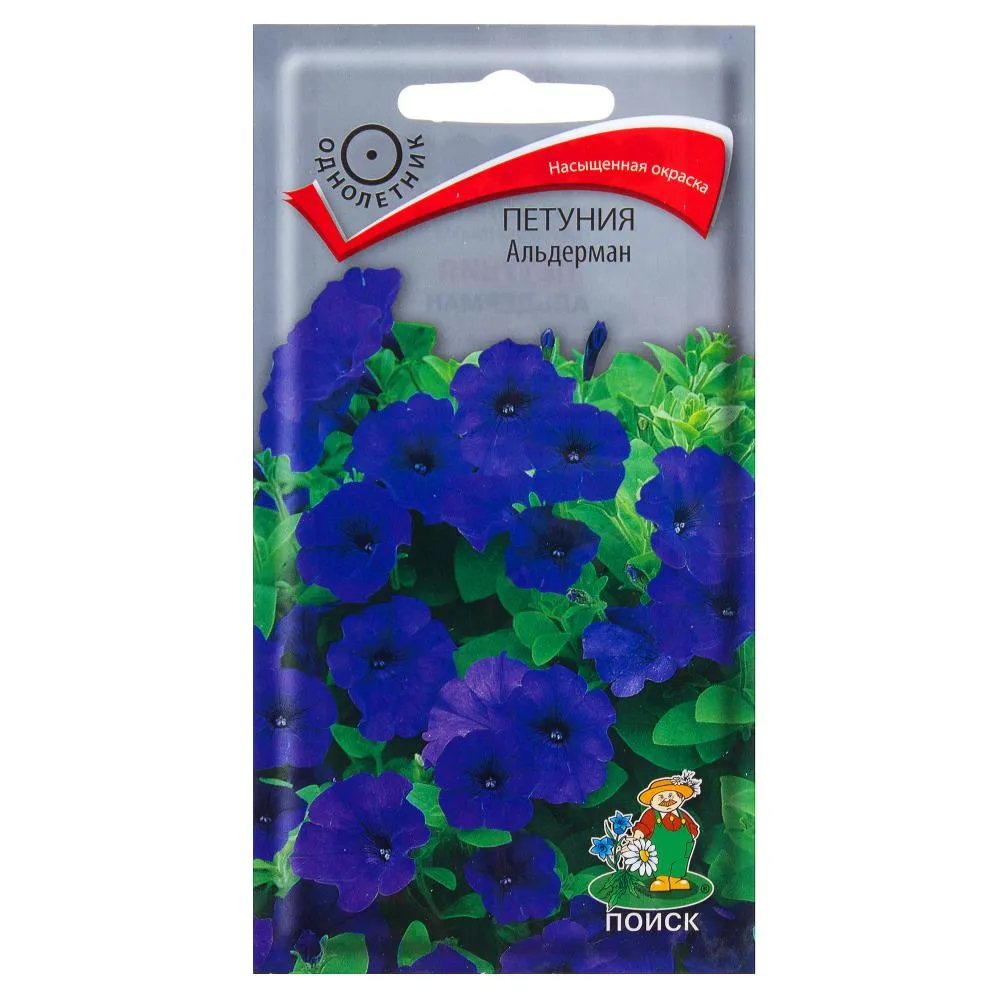 Фото Семена цветов Петуния Альдерман синяя  Поиск
