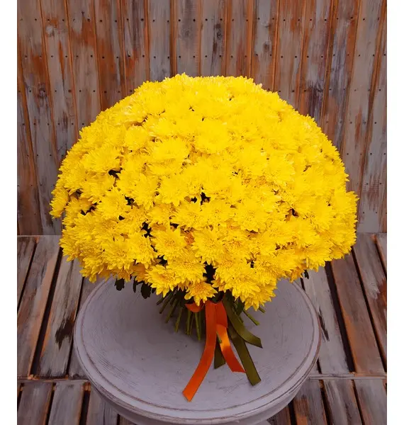 Фото Монобукет жёлтых хризантем (15,25,35,51,75 или 101)