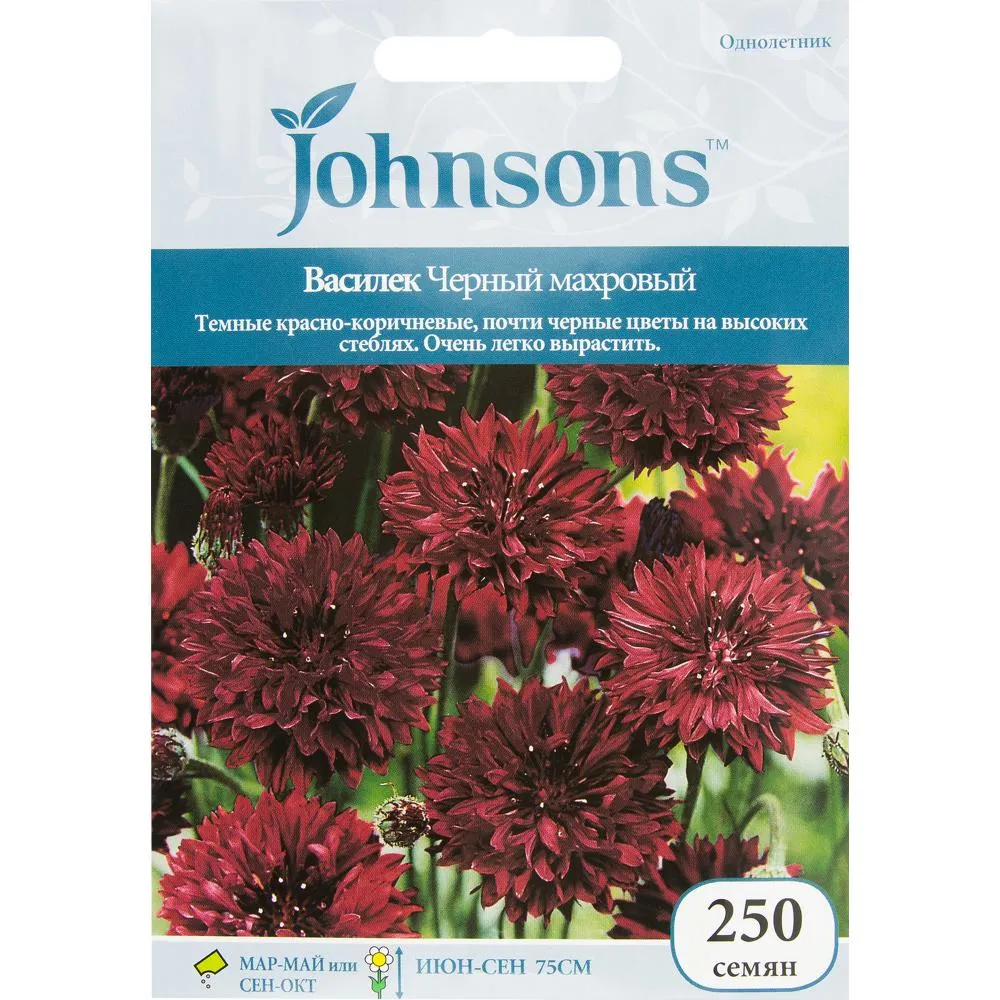 Фото Семена цветов Василек Черный махровый красно-коричневый Johnsons