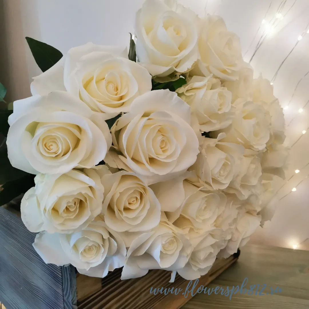 Фото Белые розы, 25 шт.